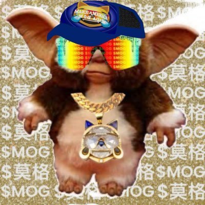 gizmoz777's profile picture. meme aficionado