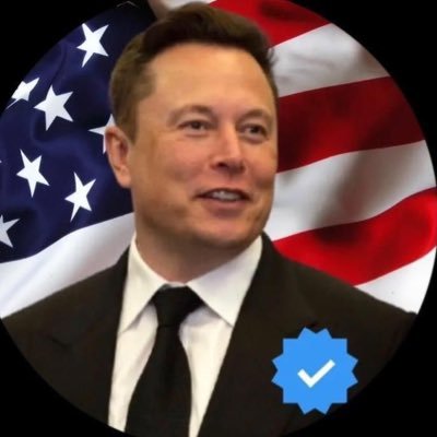 ReachTeslaceo's profile picture. CEO
