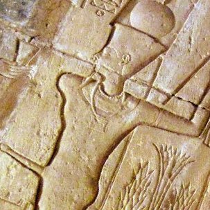 Michael_M_Rezq's profile picture. صاحب هذا الحساب "كميتي حتي النخاع "مؤيد للسلطه الحاكمه - طالما هذه السلطه مختاره من الله - و مؤيد لكل قرارات السيد الرئيس