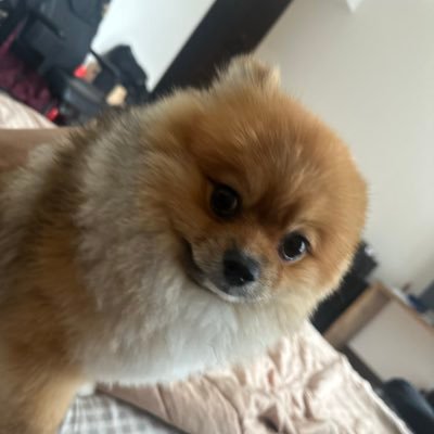UAEsoltrading's profile picture.