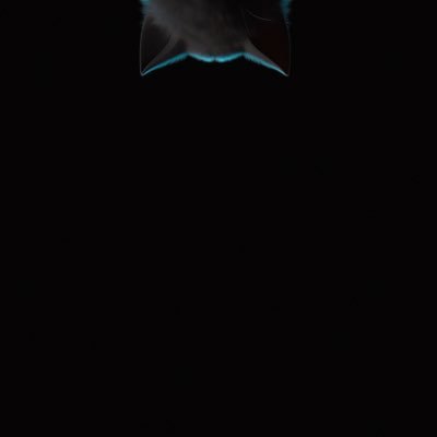assass_n8's profile picture. 
