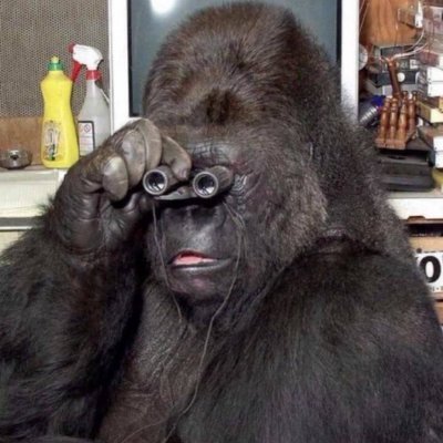 YOUNIZ_XLZ's profile picture. In love with the https://t.co/lCNuFkccPm casino 
scanning all day 
1M+PNL