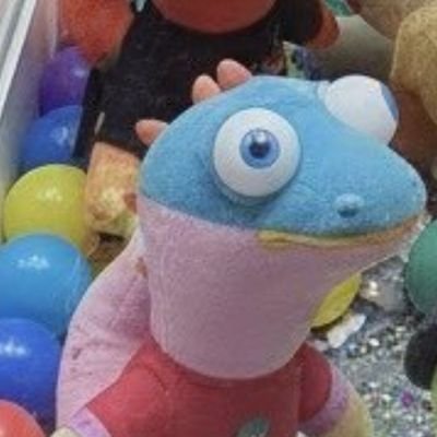lizardbuffett's profile picture. founder of Berkshire Hissaway 🦎