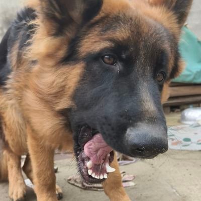 tFiYRNi8WWodT8k's profile picture. 