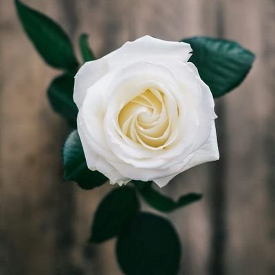 @Gaurav_Kaushal_