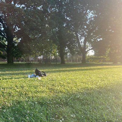 Sc8544Sc's profile picture. 