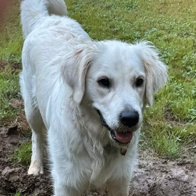 Jennygxxi's profile picture. 