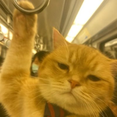 Cloudlldb's profile picture. macOS Security Researcher