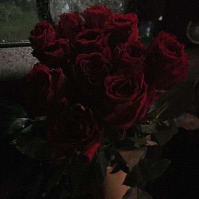 d_altrego's profile picture. 𝓓𝓮𝓿𝓲𝓵𝓼 𝔀𝓱𝓸 𝓪𝓬𝓽 𝓵𝓲𝓴𝓮 𝓪𝓷𝓰𝓮𝓵𝓼 𝓪𝓻𝓮 𝓱𝓾𝓶𝓪𝓷𝓼 𝓽𝓱𝓮𝓶𝓼𝓮𝓵𝓿𝓮𝓼.