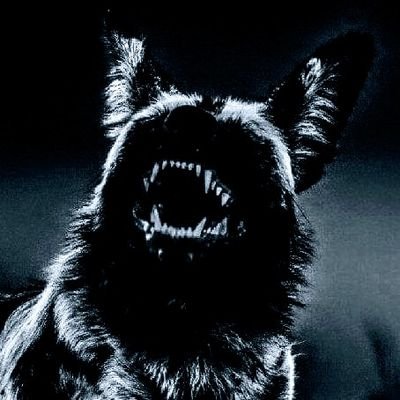 BaDDoG1984's profile picture. Founder and CEO of Antifa.