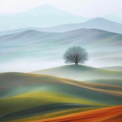 ZMT345's profile picture. 