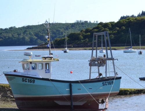 Four star bed and breakfast and self catering in the beautiful coastal village of Rockcliffe Dumfries and Galloway.
Tweets, life,events, see and do.