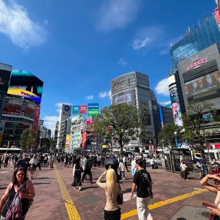 superspecific25's profile picture. After landing in Tokyo, just follow the super specific guide exactly as it is described to get where you go. https://t.co/phl6aTGhwy