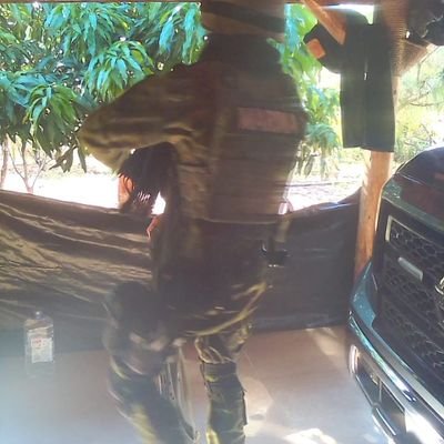 ManuelT61519714's profile picture. 83