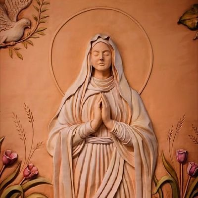 peacemaker_ab's profile picture. كل شيء أصبح بلا معنى.