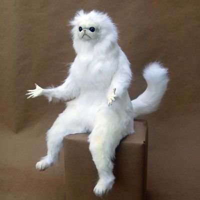 ultrafangs's profile picture. YTTA..Yang Tai Tai Aja.