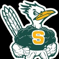 SaddlebackHSFootball (@saddlebackhsfb) 's Twitter Profile