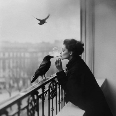 InnaInnyla1's profile picture. $GME 🚀