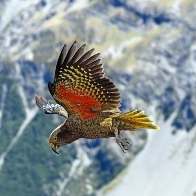 RemoteNavigator's profile picture. Clean old school TA | Hunting high-growth stocks
Support me: https://t.co/ydjPTRXv4E ❤️☺️
*Any charts are me thinking out loud, not financial advice.