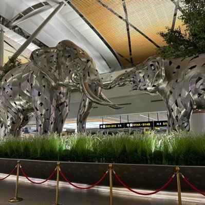 2653_y's profile picture.