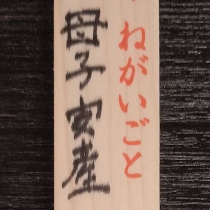 gototeruki's profile picture. ずっと17歳😘ときどき5歳🤱たまにバブ歳👶愛國の革命家、カリスマ暴君、俺様神様輝樹様✨スーパー宇宙人🛸お前ら愛してるぜ🇯🇵❤🌏️愛國的非武装非暴力不服従💖ラブ&ピース&スマイル&セックス＆ロックンロール🥰地球政府初代大統領になる日本人🎌