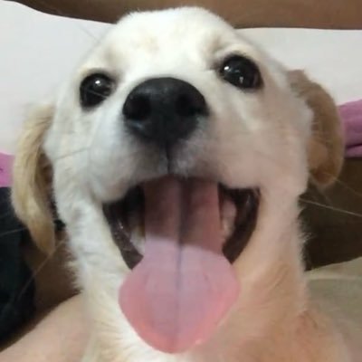 오투さんのプロフィール画像