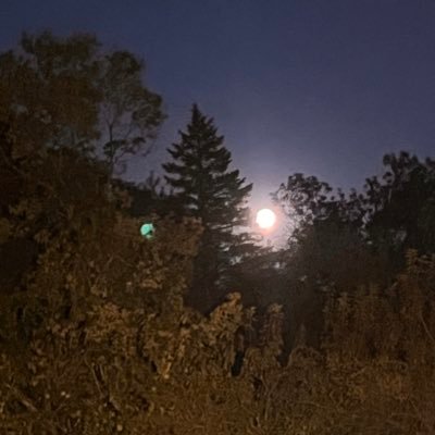 JB9JC1TH5's profile picture. 