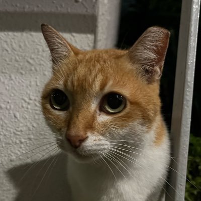 darkreliczzz's profile picture. 