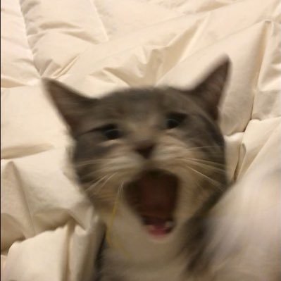 kpkkc_nxex's profile picture. 