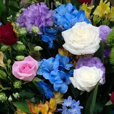 rosy_honohono's profile picture. ロージークロニクル橋田歩果さん推しの地方在住のおっさん
今まで使ってたアカウントがログイン出来なくなってしまったので新たに作りました😂