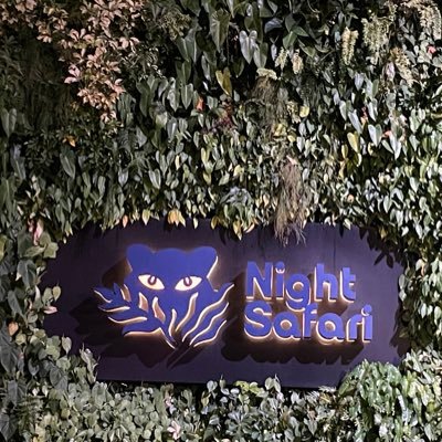 saplingweb3's profile picture. 