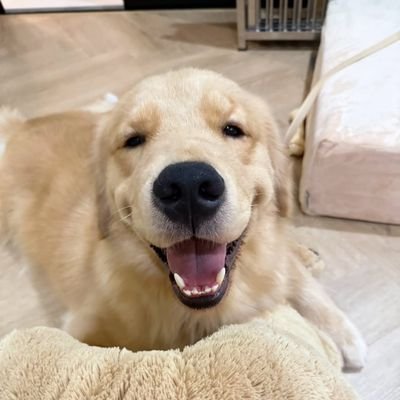 ci_ng95083's profile picture. คนคลั่งวาย ตามทุกคู่ ดูทุกเรื่อง ไม่ชอบดราม่า
/เมน #Parkerlert ทั้งใจ