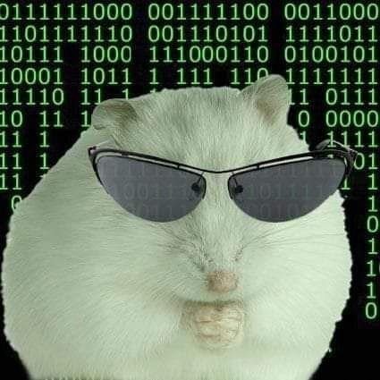 Efconr's profile picture. 