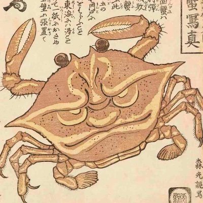 AOkamz's profile picture. 