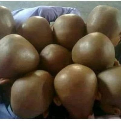 ig32136's profile picture. 