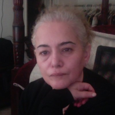 MoaddebSepideh's profile picture. 