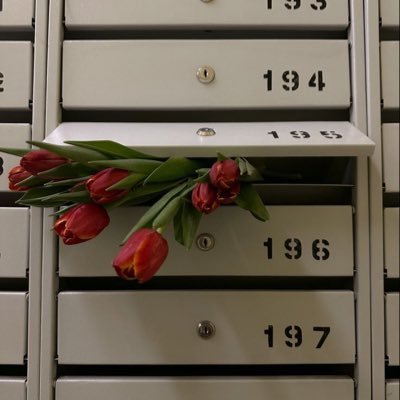 y7oyy's profile picture. _ قد لا أملك جناحين، لكني خُلِقت لأخفّف عن غيري بثوب الخدمة الاجتماعية  #نصنع_الفرق