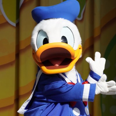 nmd3504's profile picture. 📸SONY α 6100📸 / Show ＆Parade/ Donald Duck𓅿 / 00line 🚹/ Nagoya /月1in