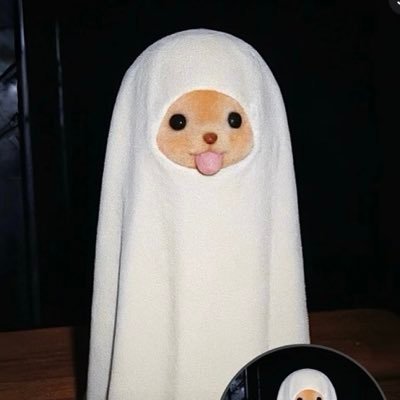 RI03962854's profile picture. 希望关注的也是女生。