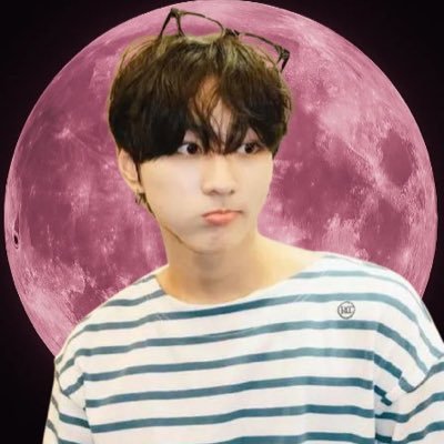 givencheer's profile picture. ˚₊✩⸝⸝ hopping through soft clouds, carrying jungwon in my pocket ૮₍｡• – •｡₎ა
