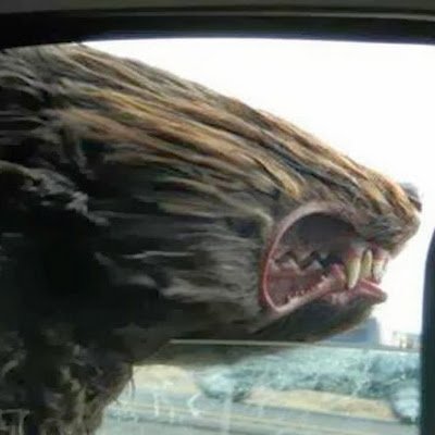 D_ismEc's profile picture.