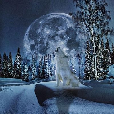 Ali007652's profile picture. 