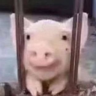 do_yun55519's profile picture. 🌸⋆｡‧˚ʚ.Tan linda, pero tan podrida,
mi dulce muñeca perdida.
En ti mis deseos sueño,
me hieren los celos,
quiero ser tu reflejo,
mi bello deseo.ɞ˚‧｡🌸