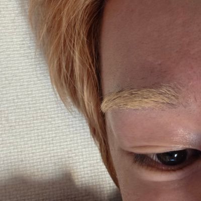 1214n525's profile picture. shinee, nct, ive | met onew 4/26 & 4/30 | @onewIover