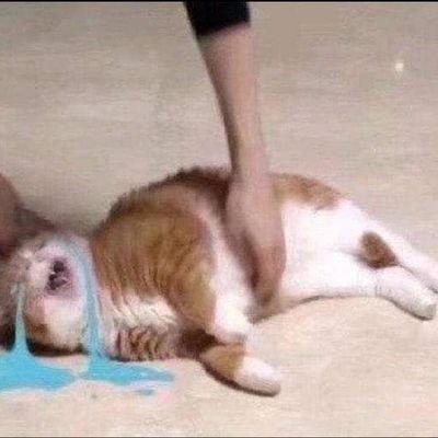 BiteMeX007's profile picture. hii iam from nandhx coming 
  from social Media