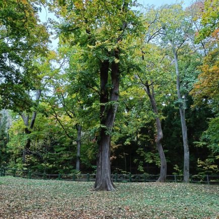 2qCf3OJqan51743's profile picture. 韓国好き😊信教の自由🌈
🍀💕和合、和睦、和平を願います🌈
スパイ防止法賛成
　DMは返信してません😊