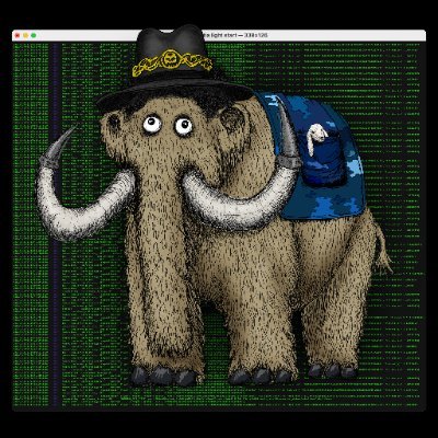 Kitty_Capital_'s profile picture. 돈 쫓는 길냥이 |
No TG/Discord | Not financial advice | Just another stray cat |

https://t.co/me1lcbKXGb