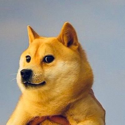 elonarchitect_M's profile picture. #CEO and #chief of SpaceX🚀#,CEO and #Product architect of Tesla, Inc ⚡️🚘,# personal interaction account👩🚀