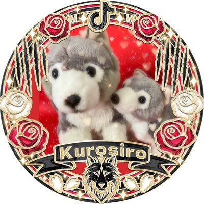 kurorenapon's profile picture. 【年内多忙低浮】クロシロくんらぶ https://t.co/KNHW5pVOcB (@kurosirodesu77)(@kusisub) （@bokunokodake）公式ﾘﾄﾘﾝhttps://t.co/OibObFZKfZ