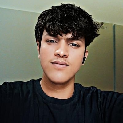 SahilSahu731's profile picture. 18 | developer | part time cricketer | learning Calesthenics